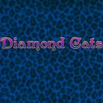 Diamond Cats